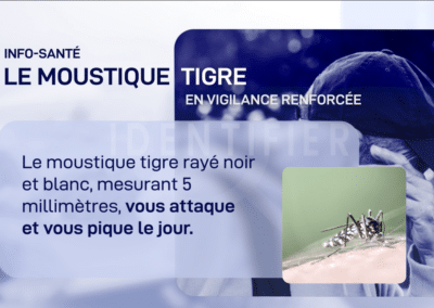 Info Santé – Moustique Tigre